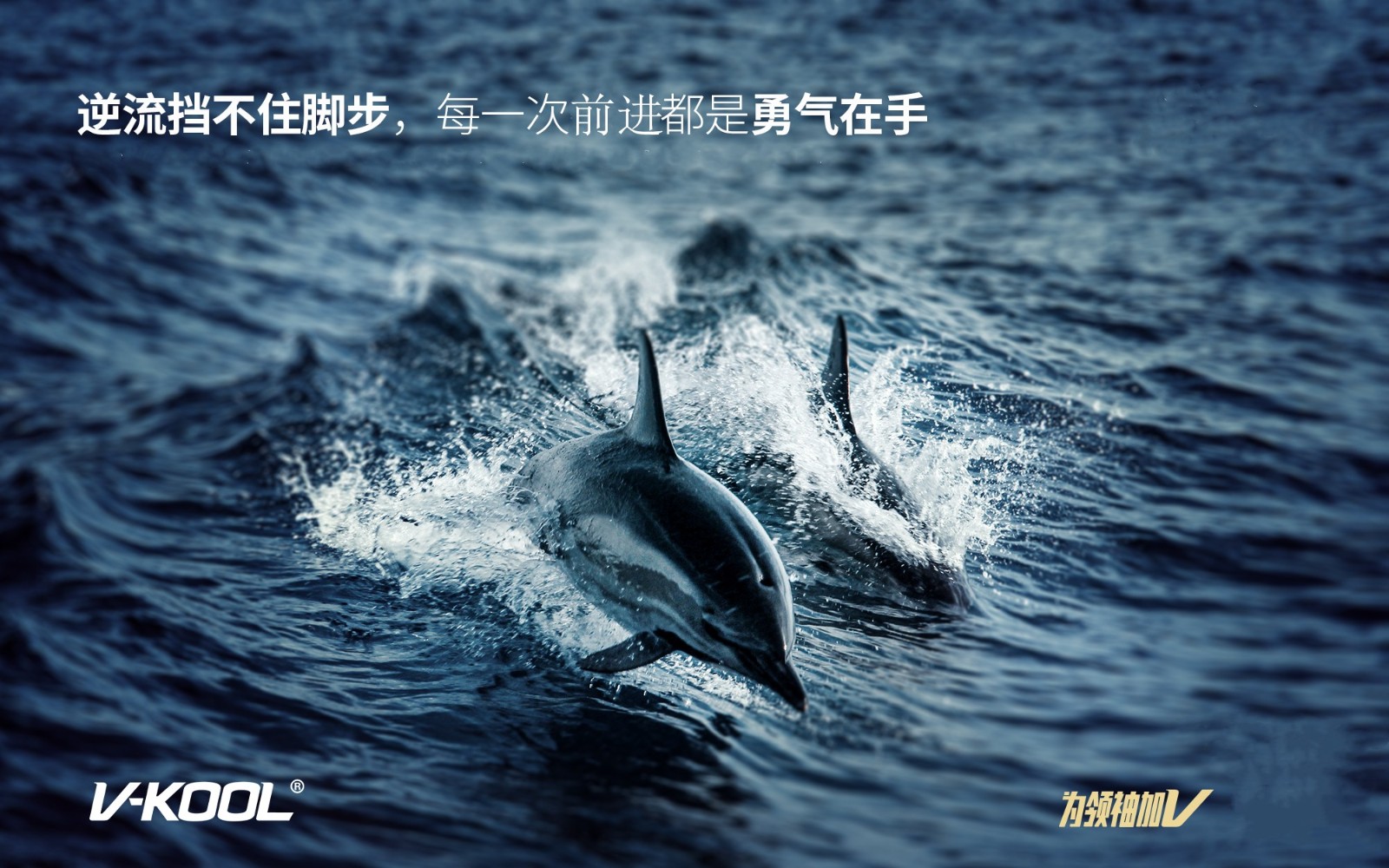威固PPF  V100